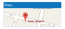 En Google Maps